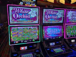 rajawin slot App rajawin slot App